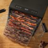 Excalibur Food Dehydrator 10-Tray Select Series for Jerky, Fruit, Vegetables, Herbs, Pet Treats, Stainless Steel with Glass Doors and 60 hour digital timer, 10-Tray, Black