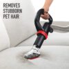 Hoover MAXLife Pro Pet Swivel Vacuum Cleaner, Bagless Upright Vac, HEPA Media Filtration, MAXLife System, WindTunnel Technology, Corded Vacuum Cleaners for Home Use