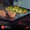 Megamaster 2-Burner Portable Gas Griddle with Built-In Lid, 18,000 BTUs, 282 SQ In Cooking Space, Small Tabletop Propane Griddle for Outdoor Cooking, Camping, BBQs, and Parties - 820-0054D
