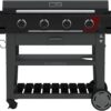 Charbroil 463285924 36