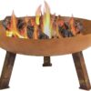 Sunnydaze 30-Inch Cast Iron Heavy-Duty Fire Pit for Outside - Wood-Burning Outdoor Fire Pit Bowl with Handles - Oxidized Finish