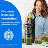 nutribullet Slow Juicer, Slow Masticating Juicer Machine, Easy to Clean, Quiet Motor & Reverse Function, BPA-Free, Cold Press Juicer with Brush, 150 Watts, Charcoal Black, NBJ50300, 24-oz