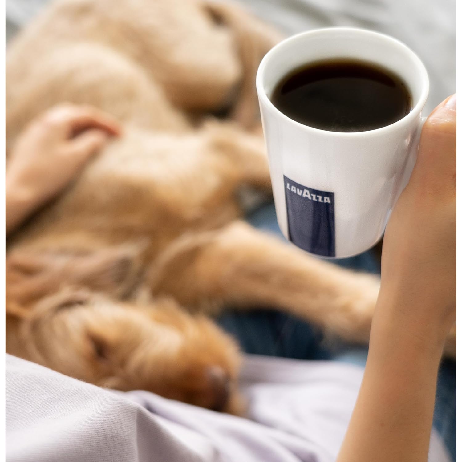 Lavazza Dek Filtro Ground Coffee Medium Roast, 8 Oz (Pack of 20) Lavazza Dek Filtro Ground Coffee Medium Roast, 8 Oz (Pack of 20) - Image 7