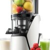 Juicer Machines, 3-in-1 Cold Press Juicer with 6.5