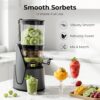 Juicer Machines, 3-in-1 Cold Press Juicer with 6.5" Extra Large Chute, 100oz Large Capacity, AC Motor, Makes Juice, Nut Milk & Sorbet, Premium Gray