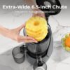 Juicer Machines, 3-in-1 Cold Press Juicer with 6.5" Extra Large Chute, 100oz Large Capacity, AC Motor, Makes Juice, Nut Milk & Sorbet, Premium Gray