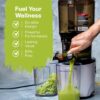 Kuvings AUTO10 Cold Press Juicer Silver - Hands-Free Electric Masticating Juicer Machine With 240W Motor - Very Quiet With 100 Oz Batching Hopper for Juice, Smoothies, Nut Milk, and Sorbets Kuvings AUTO10 Cold Press Juicer Silver - Hands-Free Electric Masticating Juicer Machine With 240W Motor - Very Quiet With 100 Oz Batching Hopper for Juice, Smoothies, Nut Milk, and Sorbets