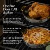 Our Place Titanium Always Pan Pro | 10.6" PFAS-Free Nonstick Frying Pan with Spatula | Chef-Grade Tri-Ply Stainless Steel & Aluminum Build | Induction & Oven-Safe up to 750°F | Gold