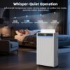 5000 Sq. Ft Dehumidifiers for Home and Basement, Max 95 Pint/Day Dehumidifier with Drain Hose, Compressor Dehumidifier with Humidity Control, 24H Timer & Child Lock, for Bedroom, Large Rooms
