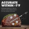 CHEF iQ Sense | Smart Wireless Meat Thermometer | 2 Ultra-Thin Probes | WiFi Unlimited Range | 1000°F Heat Safe | 5 Sensors | BBQ, Grill, Oven, Smoker, Air Fryer | Gen3