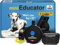 Educator ET-300 Black Mini E Collar for Dog Training with Remote - 1/2 Mile Range, Waterproof, 100 Blunt Stimulation Levels, Tone or Vibration Mode, Night Light Tracking for Small, Medium & Large Dogs