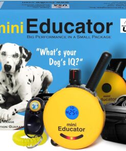Educator ET-300 Mini E Collar for Dog Training with Remote - 1/2 Mile Range, Waterproof, 100 Blunt Stimulation Levels, Tone or Vibration Mode, Night Light Tracking for Small, Medium & Large Dogs