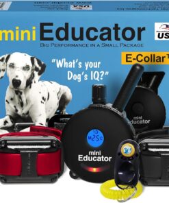 Educator ET-302 Black Mini E Collar for Dog Training with Remote - 1/2 Mile Range, Waterproof, 100 Blunt Stimulation Levels, Tone or Vibration Mode, Night Light for Small, Medium & Large Dogs (2 Dogs)