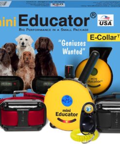 Educator ET-302 Mini E Collar for Dog Training with Remote - 1/2 Mile Range, Waterproof, 100 Blunt Stimulation Levels, Tone or Vibration Mode, Night Light for Small, Medium & Large Dogs (2 Dogs)