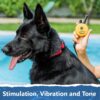 Educator ET-302 Mini E Collar for Dog Training with Remote - 1/2 Mile Range, Waterproof, 100 Blunt Stimulation Levels, Tone or Vibration Mode, Night Light for Small, Medium & Large Dogs (2 Dogs)