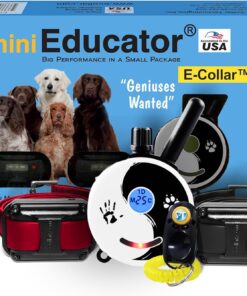 Educator ET-302 Zen Mini E Collar for Dog Training with Remote - 1/2 Mile Range, Waterproof, 100 Blunt Stimulation Levels, Tone or Vibration Mode, Night Light for Small, Medium & Large Dogs (2 Dogs)