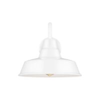 Generation Lighting Barn Light 1 -Light 10.63-in H White Hardwired Dark Sky Outdoor Wall Light