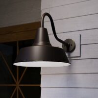 Generation Lighting Barn Light 1 -Light 15-in H Antique Bronze Hardwired Dark Sky Outdoor Wall Light
