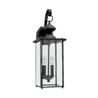 Generation Lighting Jamestowne 2 -Light 20.25-in H Black Hardwired Dark Sky Outdoor Wall Light