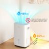 GoveeLife Dehumidifier for Home 4,500 Sq.Ft, 50 to 137 Pint Smart Auto Humidity Control, Drain Hose, 2.0Gal Bucket, Compressor Dehumidifiers for Basement with Auto Shut Off, Bathroom, Garage, w/WiFi
