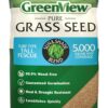 GreenView Pure Grass Seed Turf Type Tall Fescue Sun & Shade Blend, 20 lb. Bag – Covers up to 5,000 sq. ft.
