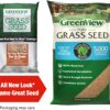 GreenView Pure Grass Seed Turf Type Tall Fescue Sun & Shade Blend, 20 lb. Bag – Covers up to 5,000 sq. ft.