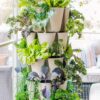 Greenstalk Patented Large 5 Tier Vertical Garden Planter with Patented Internal Watering System Great for Growing a Variety of Strawberries, Vegetables, Herbs, & Flowers (Stunning Stone)