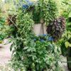Greenstalk Patented Large 5 Tier Vertical Garden Planter with Patented Internal Watering System Great for Growing a Variety of Strawberries, Vegetables, Herbs, & Flowers (Stunning Stone)