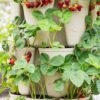Greenstalk Patented Large 5 Tier Vertical Garden Planter with Patented Internal Watering System Great for Growing a Variety of Strawberries, Vegetables, Herbs, & Flowers (Stunning Stone)