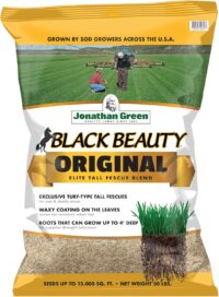 Jonathan Green (10316) Black Beauty Original Grass Seed Blend - Cool Season Lawn Seed (50 lb)