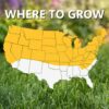 Jonathan Green (10316) Black Beauty Original Grass Seed Blend - Cool Season Lawn Seed (50 lb)