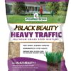 Jonathan Green (10980) Black Beauty Heavy Traffic Grass Seed - Cool Season Lawn Seed (25 lb)