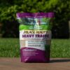 Jonathan Green (10980) Black Beauty Heavy Traffic Grass Seed - Cool Season Lawn Seed (25 lb)