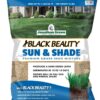 Jonathan Green (12004) Black Beauty Sun & Shade Grass Seed - Cool Season Lawn Seed (15 lb)
