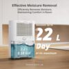 Kesnos 4,500 Sq. Ft. Energy Star Dehumidifier for Home, 52 Pint Dehumidifier with Drain Hose for Basement, Bedroom, Bathroom, Room, Featuring Front Display, 24H Timer and Auto Defrost Function