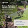 Orbit 62100 Yard Enforcer Motion-Activated Sprinkler