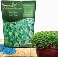 Outsidepride Perennial Dichondra Repens Seeds - 5 lbs Dense Green, Low-Maintenance Ground Cover Seeds for Planting, Ideal Lawn Alternative in Sun or Shady Areas & Erosion Control in USDA Zones 8-11