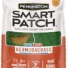 Pennington Smart Patch Bermudagrass Mix 30 lb
