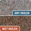 Pennington Smart Patch Bermudagrass Mix 30 lb