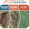 Pennington Smart Patch Bermudagrass Mix 30 lb