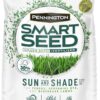 Pennington Smart Seed Sun and Shade Grass Mix 20 lb, Black Label