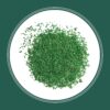 Pennington Smart Seed Sun and Shade Grass Mix 20 lb, Black Label Pennington Smart Seed Sun and Shade Grass Mix 20 lb, Black Label