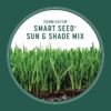 Pennington Smart Seed Sun and Shade Grass Mix 20 lb, Black Label Pennington Smart Seed Sun and Shade Grass Mix 20 lb, Black Label
