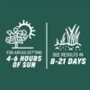 Pennington Smart Seed Sun and Shade Grass Mix 20 lb, Black Label Pennington Smart Seed Sun and Shade Grass Mix 20 lb, Black Label