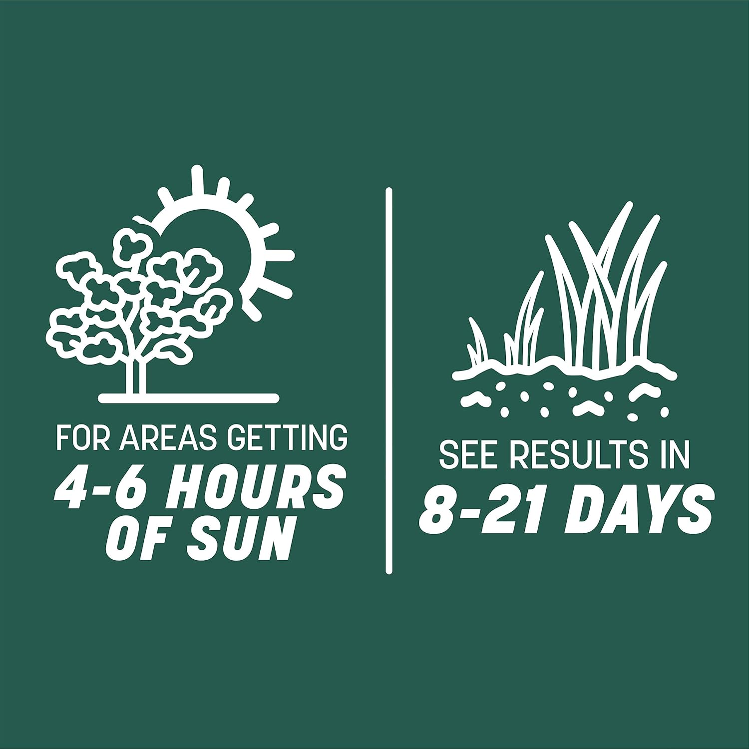 Pennington Smart Seed Sun and Shade Grass Mix 20 lb, Black Label8 Pennington Smart Seed Sun and Shade Grass Mix 20 lb, Black Label