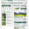 Pennington Smart Seed Sun and Shade Tall Fescue Grass Seed Mix for Southern Lawns 20 lb