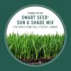 Pennington Smart Seed Sun and Shade Tall Fescue Grass Seed Mix for Southern Lawns 20 lb