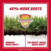 Pennington The Rebels Tall Fescue Grass Seed Mix 40 lb