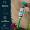 Rachio Smart Hose Timer (1 Valve + 1 WiFi Hub) – App-Controlled Outdoor Faucet Timer, Quick Install & Scheduling, Expandable System