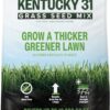 Scotts Kentucky 31 Grass Seed Mix for New Lawns or Overseeding - Lawn Grass Seed That Grows Thicker and Greener vs. Other Kentucky 31 Mixes, Covers up to 10,000 sq. ft.